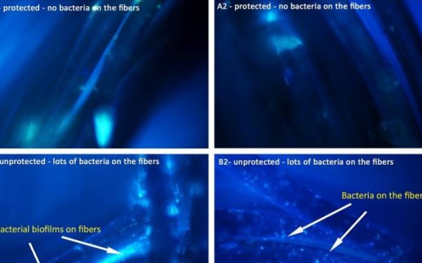 Mechanizm biologiczny pozwoli chronić materiały przed bakteriami wodnymi