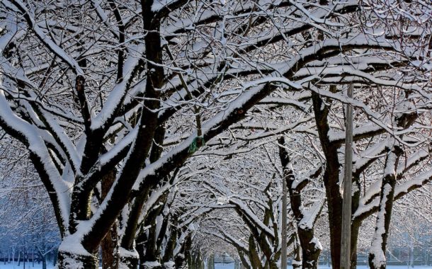Prognozy: śnieżna i mroźna zima? W przyszłości w Polsce będzie raczej wyjątkiem